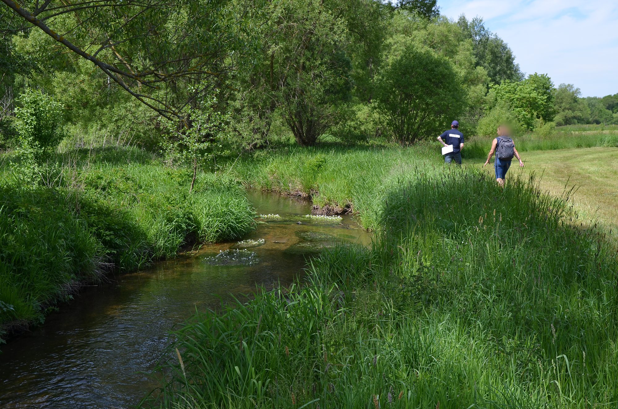 Naturnaher Bachlauf mit dichter Ufervegetation