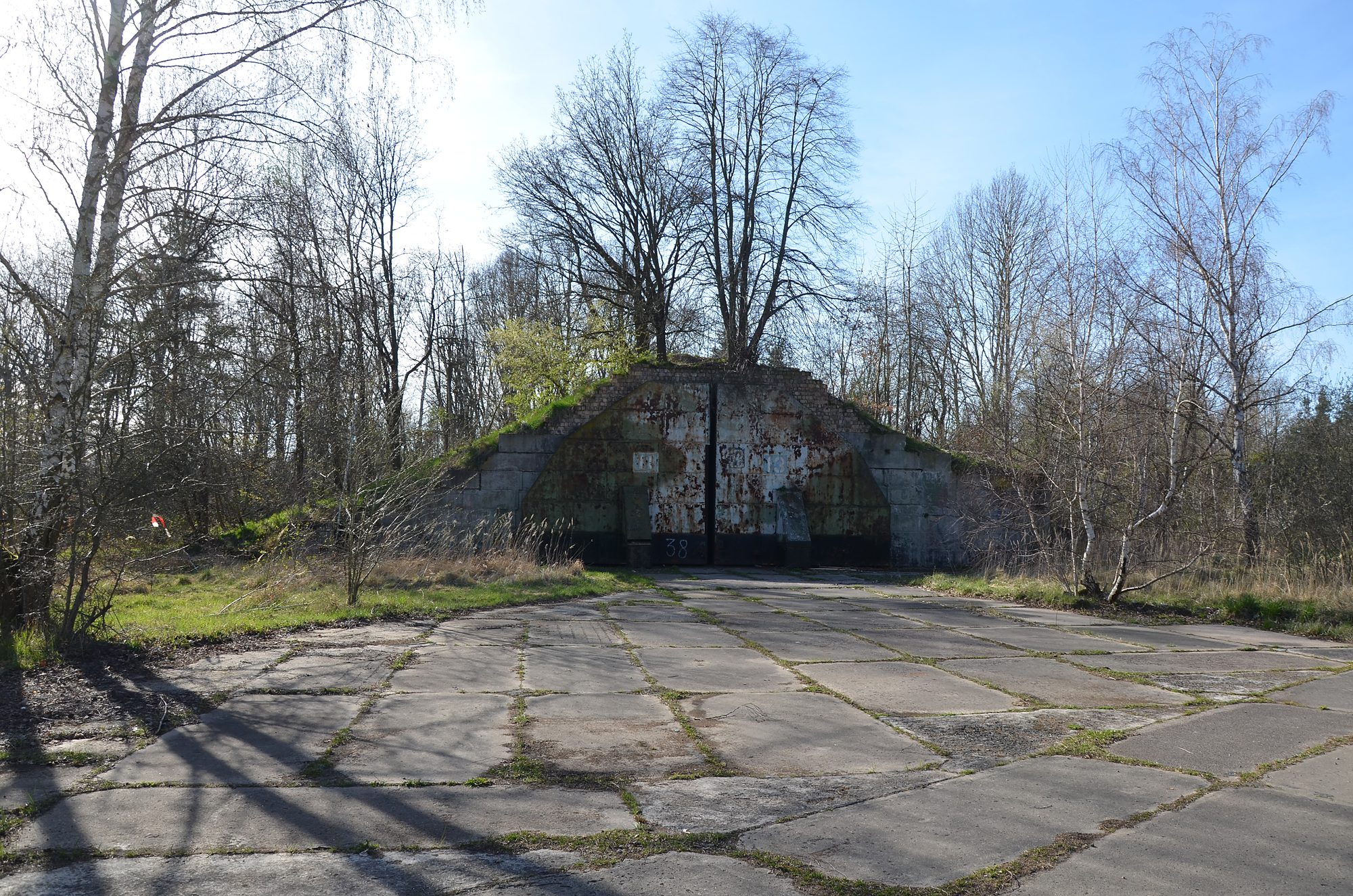 Ehemaliger Flugzeugshelter, überwachsen von Gehölzen