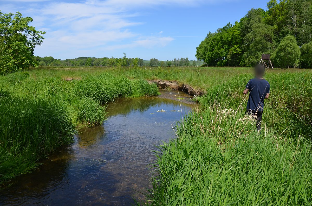 Mäandrierender Bachlauf in einer offenen Wiesenlandschaft