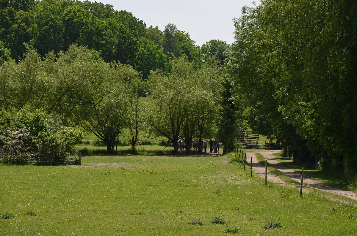 Auenwiese mit altem Baumbestand und Wanderweg